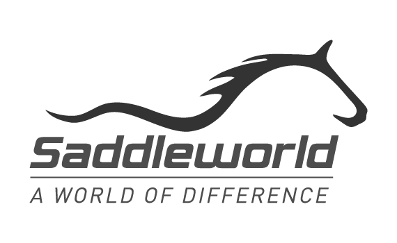 SaddleWorld